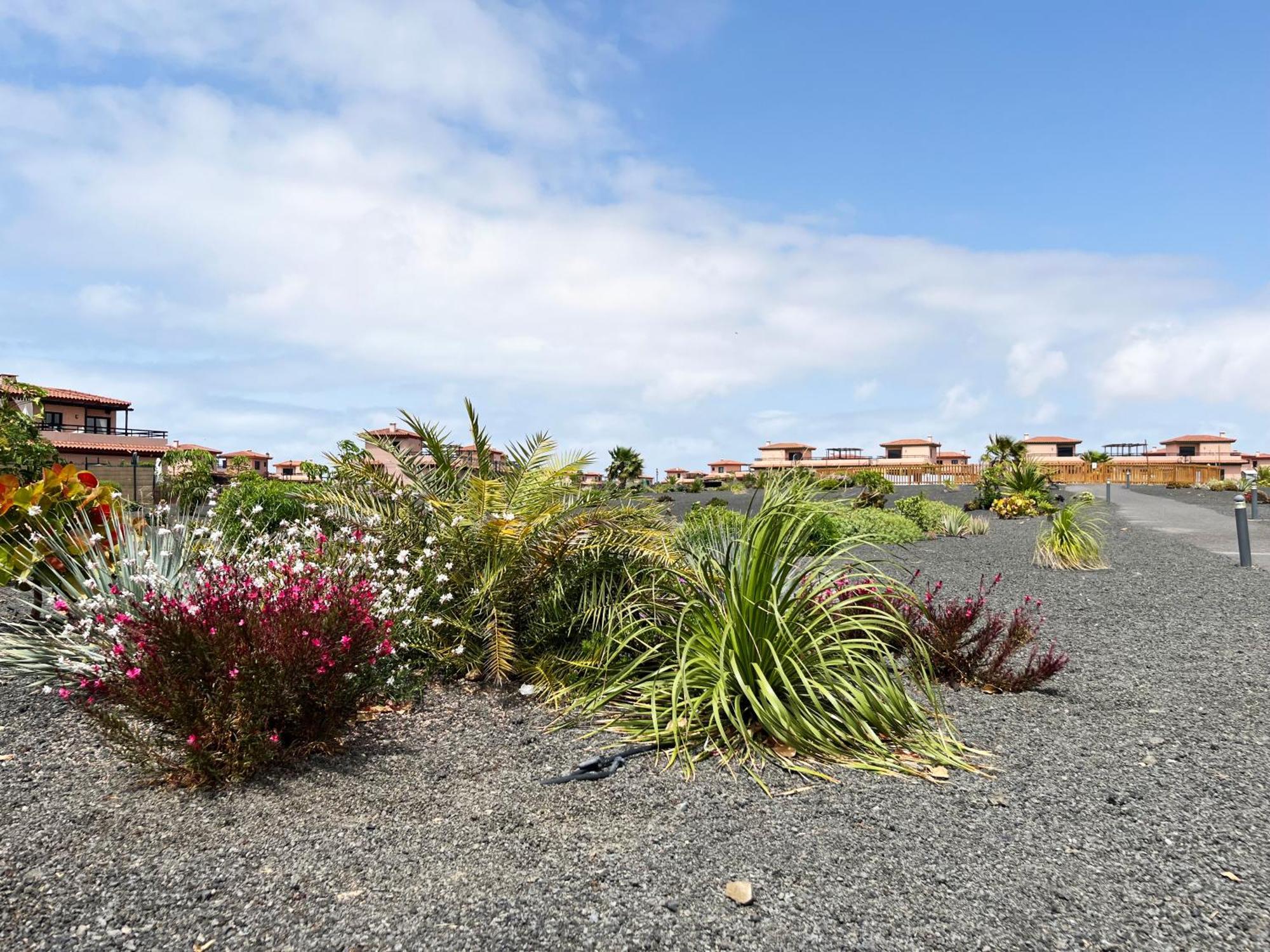 Villa Casa Solayla Origomare Lajares Esterno foto